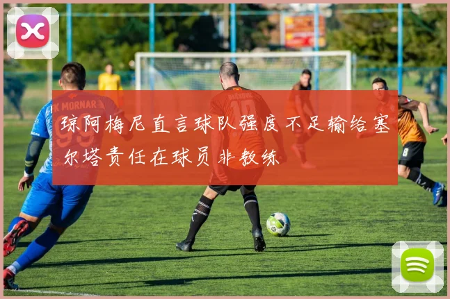 琼阿梅尼直言球队强度不足输给塞尔塔责任在球员非教练