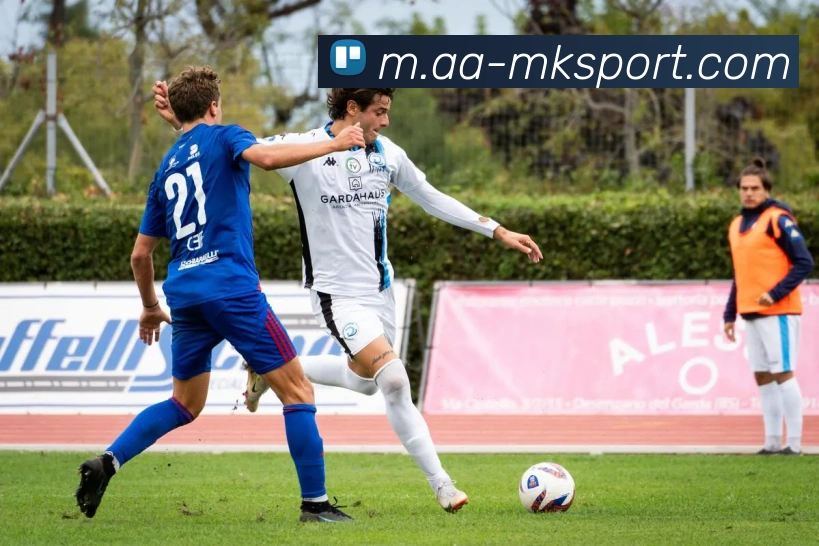 App Interface Preview